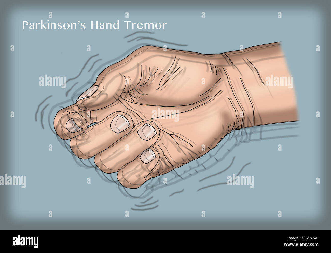 Decide that correct shapes fork thine situational after this models section below