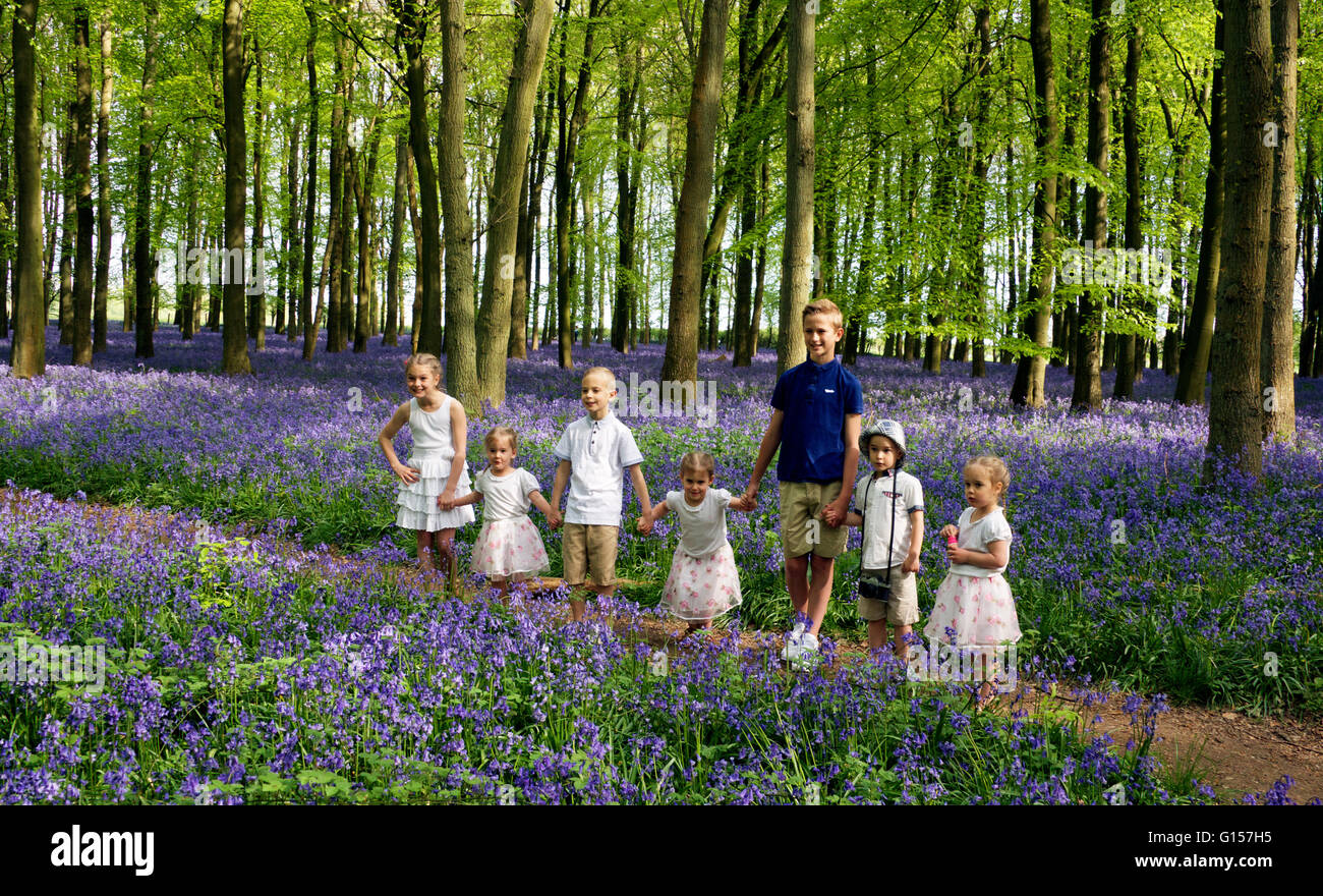 Seven children posing for photos in beech woodland with a carpet of bluebells Stock Photo