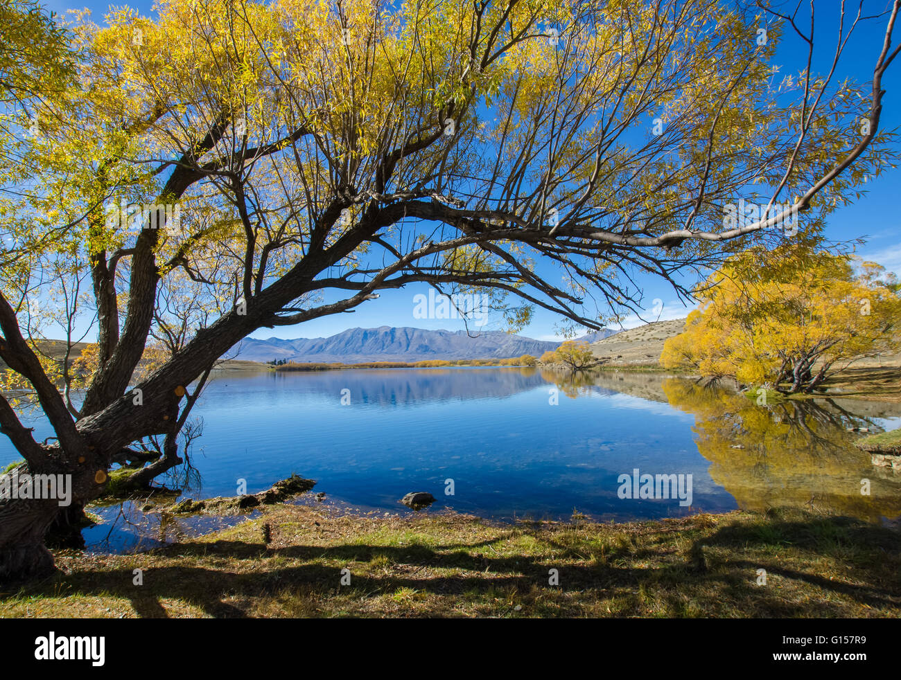 Beautiful autumn landscape in Lake McGregor,Canterbury Region, New Zealand Stock Photo