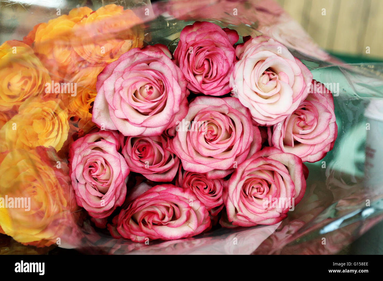 Close up of bouquet of orange and pink roses Stock Photo