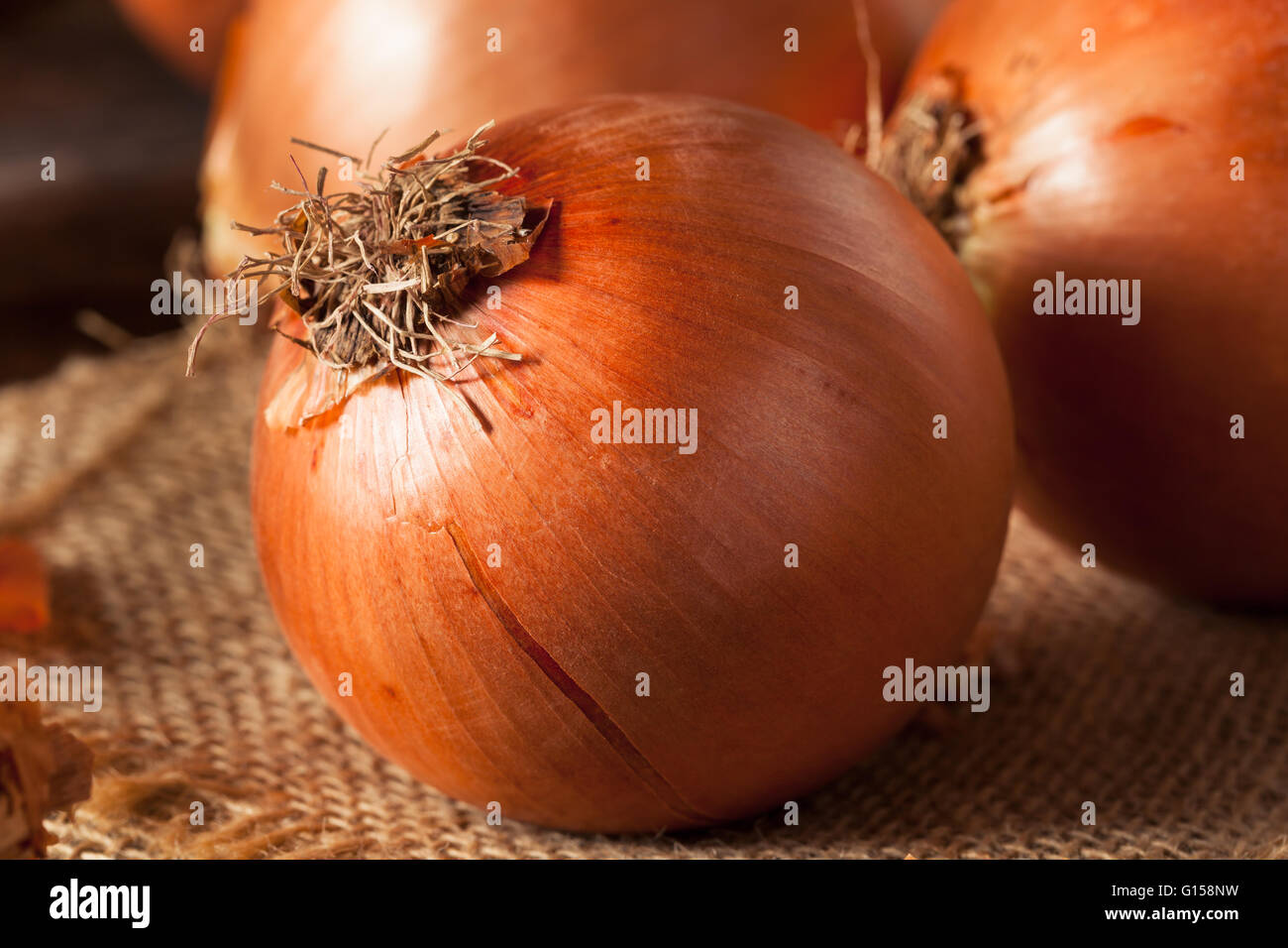 Fresh yellow onions hires stock photography and images Alamy