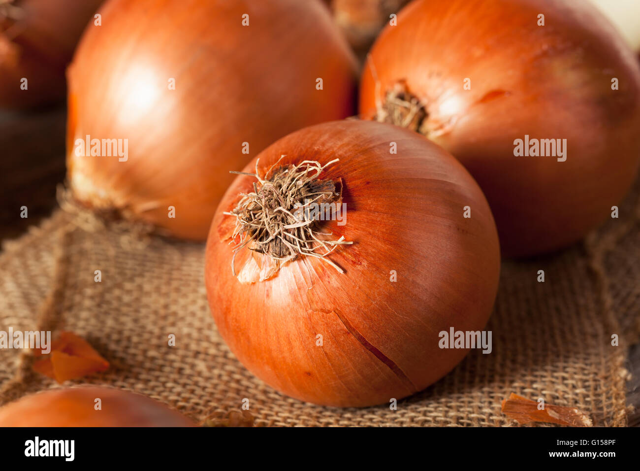 Yellow onion hires stock photography and images Alamy