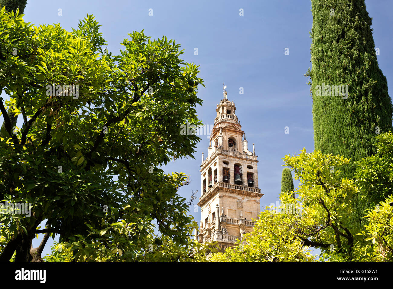 The Bell Tower, also called the Tower of Alminar, seen from the Courtyard of the Orange Trees of the Mosque-Cathedral of Cordoba Stock Photo
