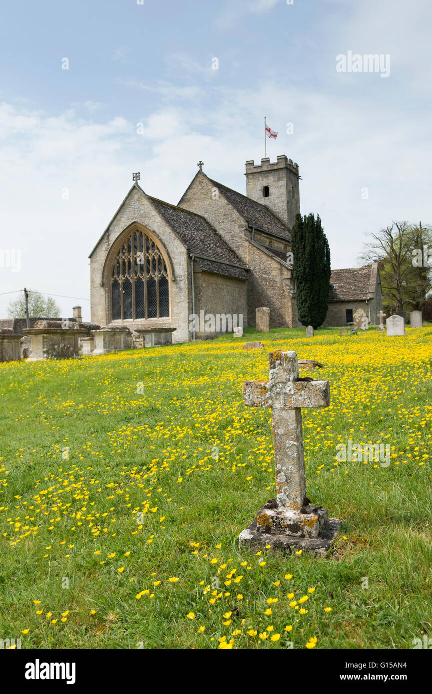 Cross gravestone and buttercups in front of St Mary's Church, Swinbrook, Oxfordshire, England Stock Photo