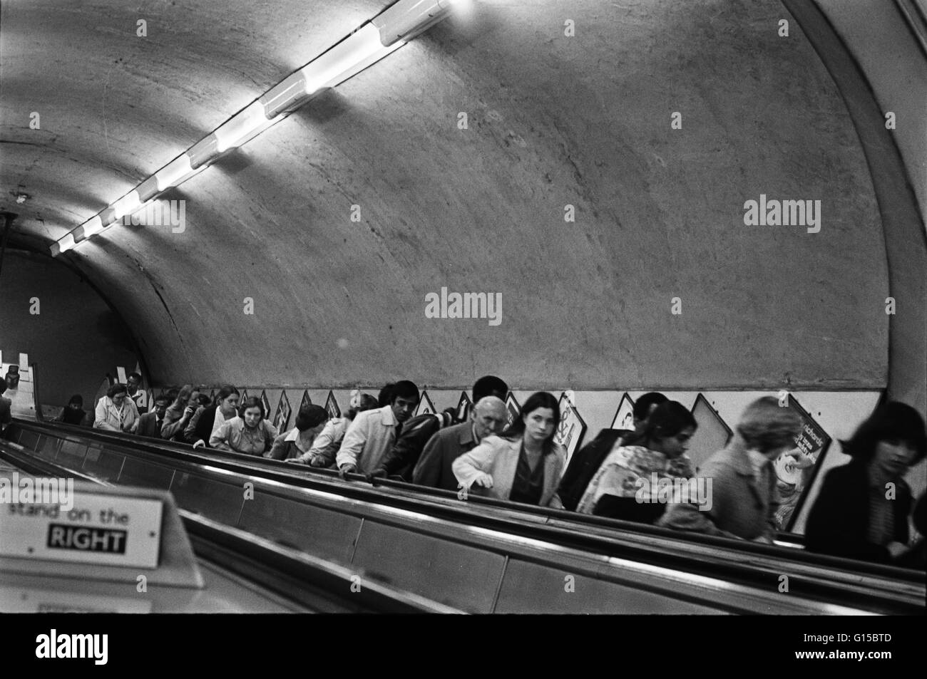 Clapham South Escalators (the) - the rockabilly chronicle