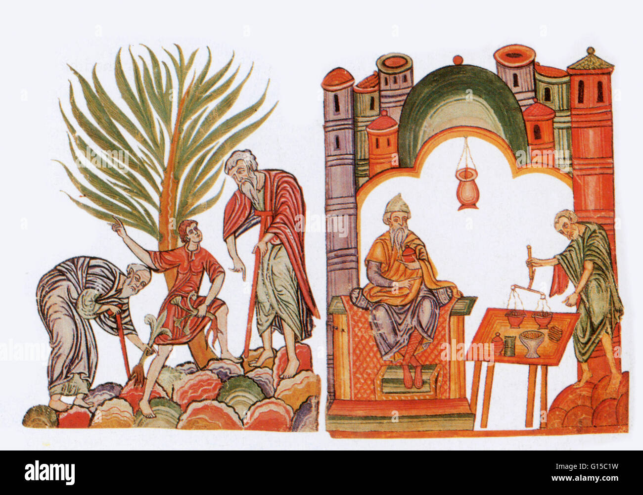 Medicine In The Medieval Islamic World