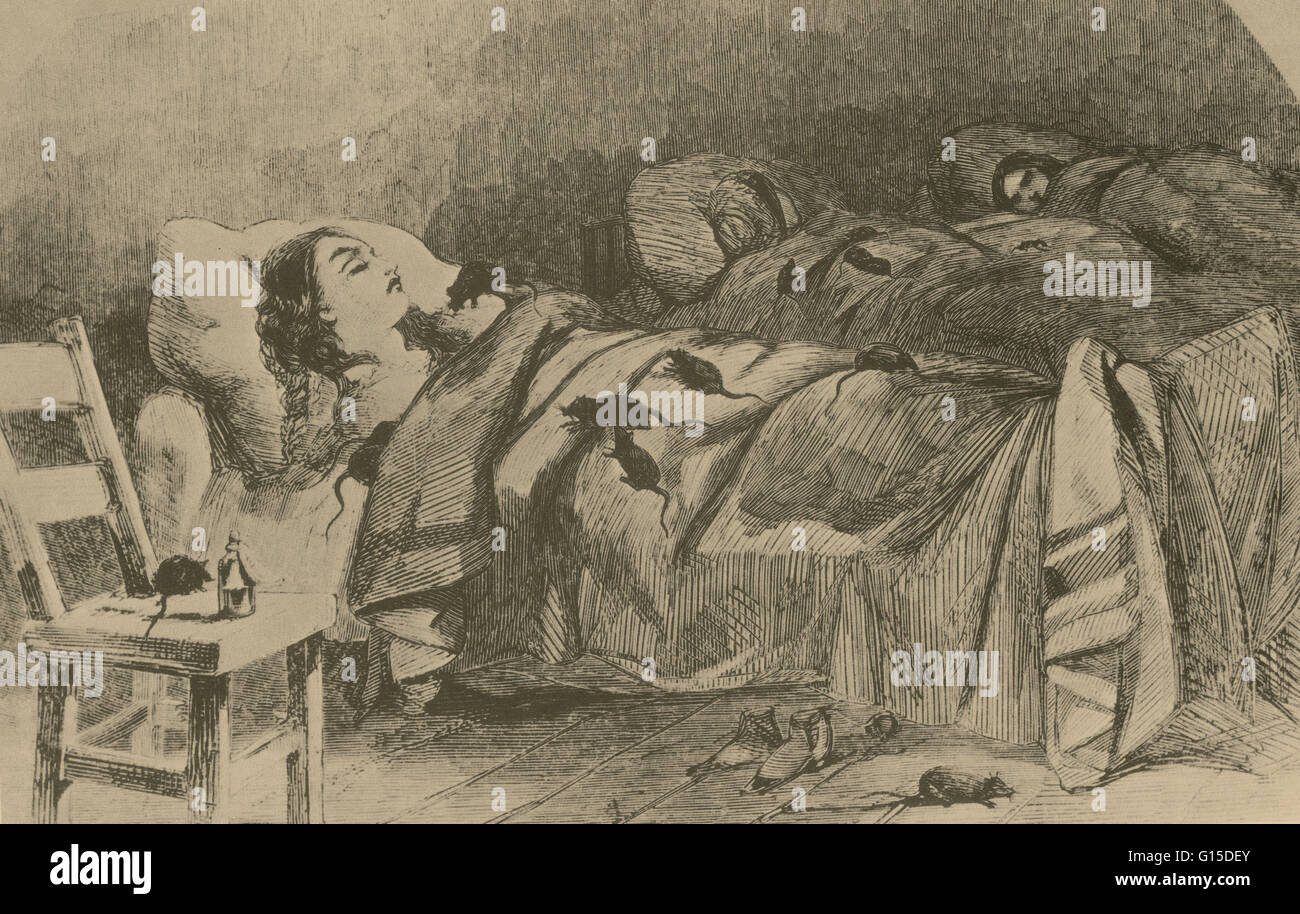 Engraving from Harper's Weekly (1860) showing conditions in Bellevue Hospital, New York. Museum of the City of New York. Stock Photo