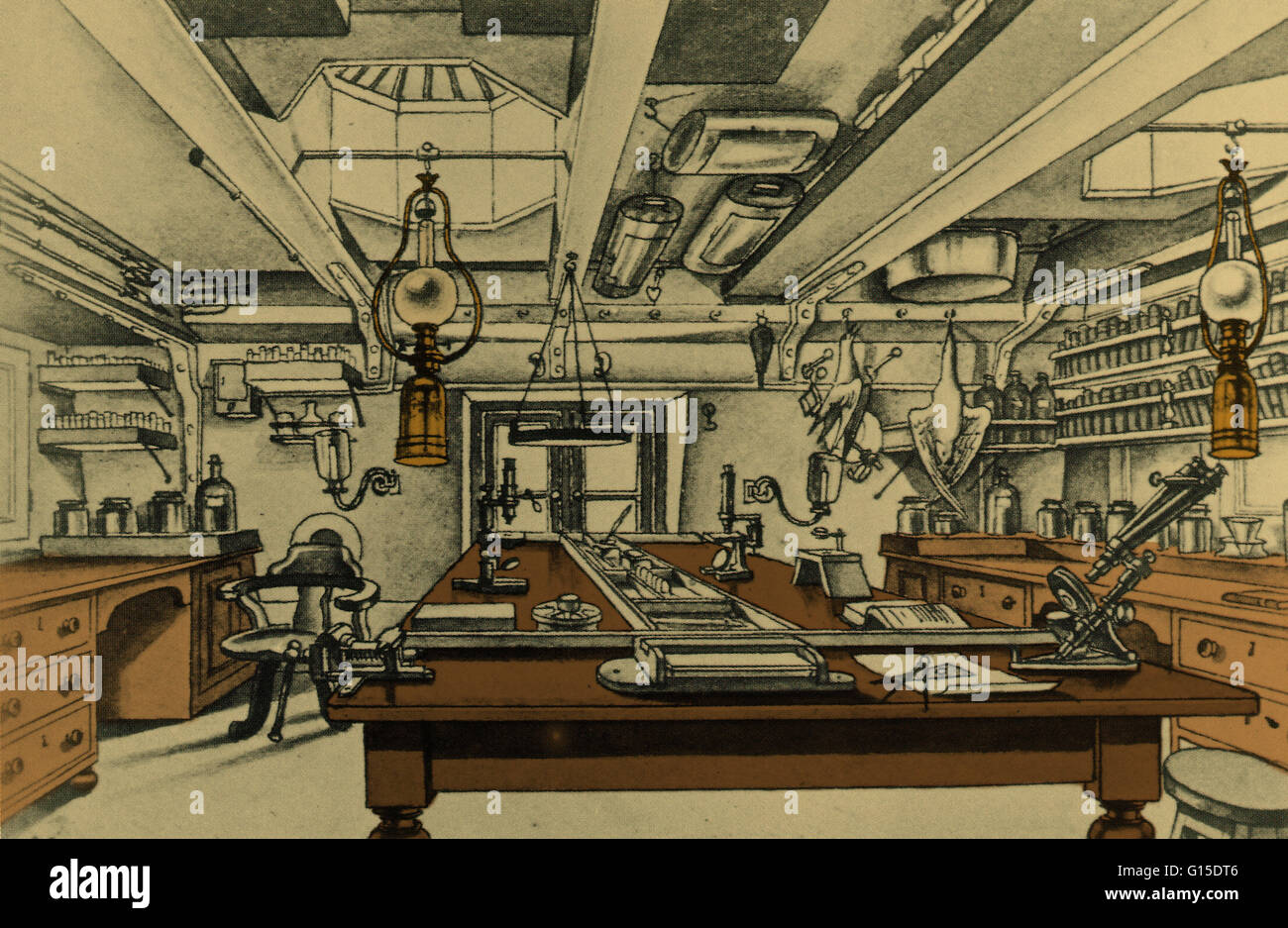 An engraving of the Challenger's scientific expedition laboratory. This engraving shows the work benches, microscopes, bottle racks and bird skins hung up to dry. The 'dirty' work associated with the net catches when they first come aboard was mostly done Stock Photo