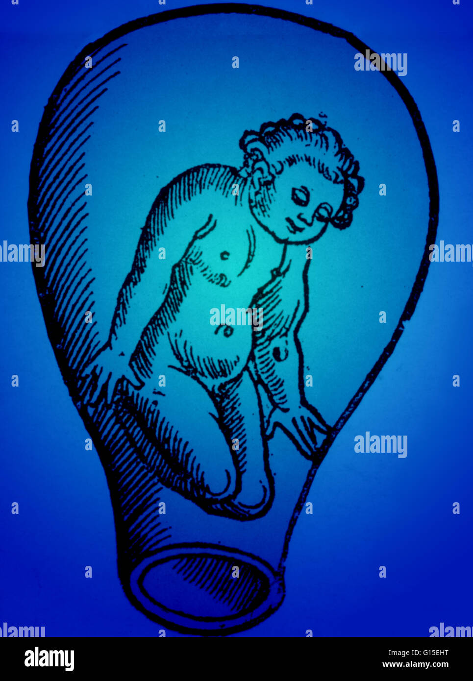 One of the most important issues in the premodern biology of the 18th ...