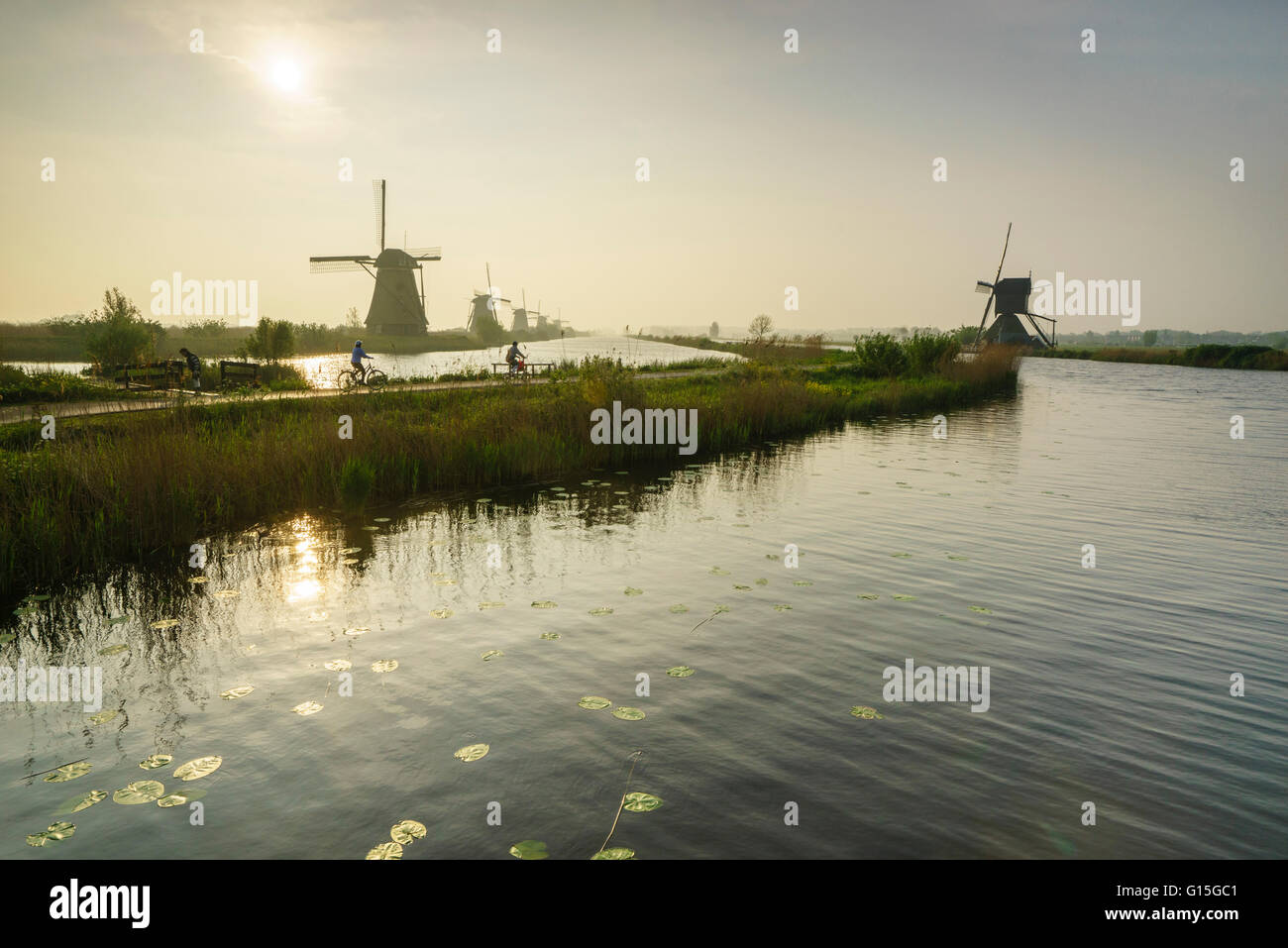 Bicycles run through a path between the canal and windmills, Kinderdijk, Rotterdam, South Holland, Netherlands, Europe Stock Photo