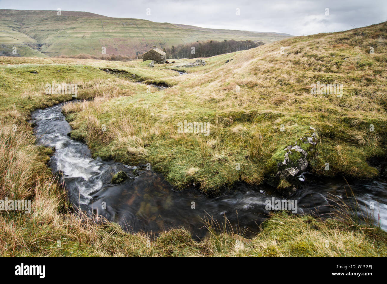 Stream and cottage, above Buckden, Wharfedale, Yorkshire Dales, Yorkshire, England, United Kingdom, Europe Stock Photo