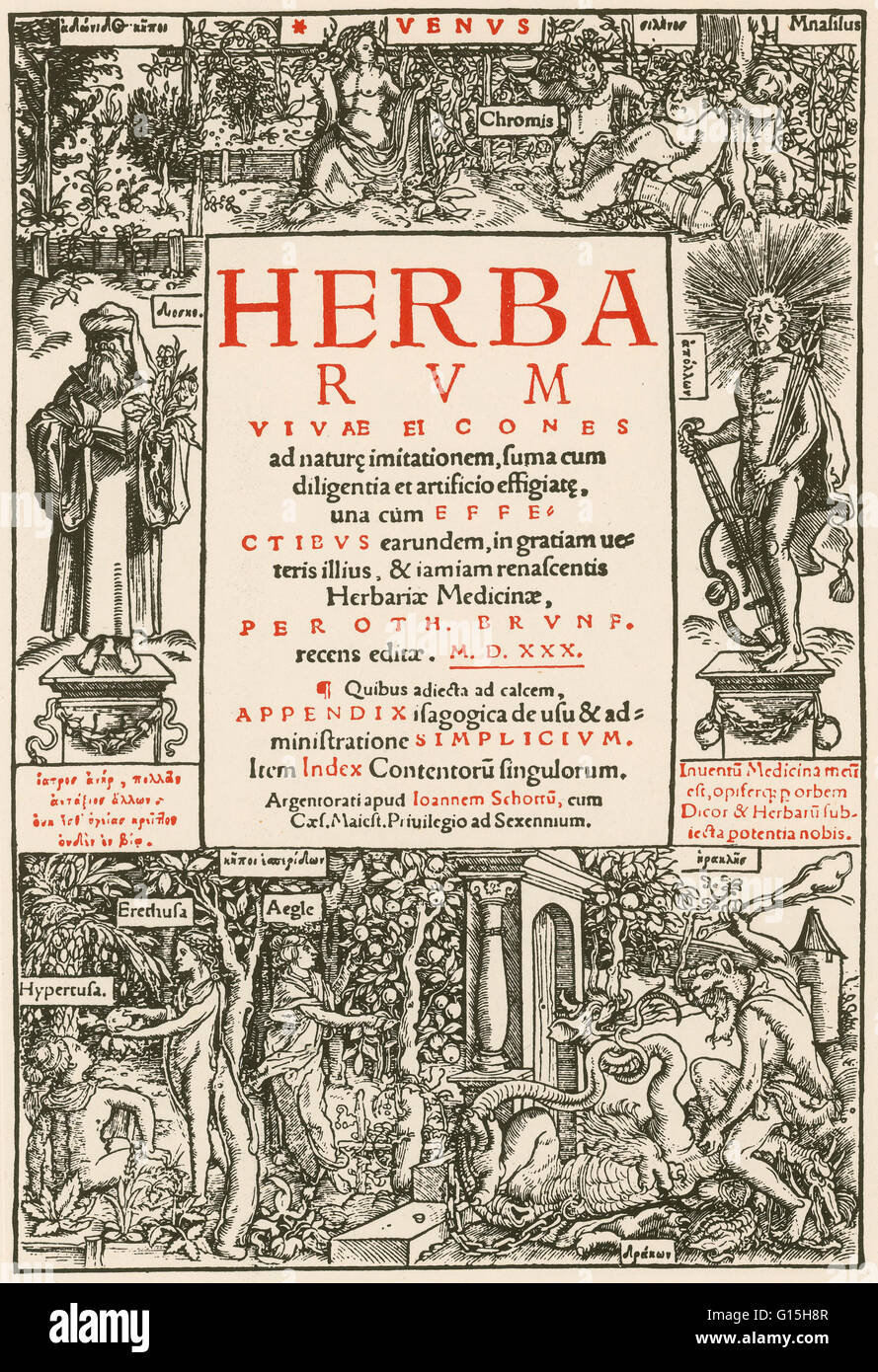 Title page by Hans Weiditz for 'Herbarum vivae eicones' (living plant images or living pictures of herbs). Published in Strasbourg in the 1530's it was a landmark compendium in the development of botanical illustration. The text was compiled by Otto Brunf Stock Photo