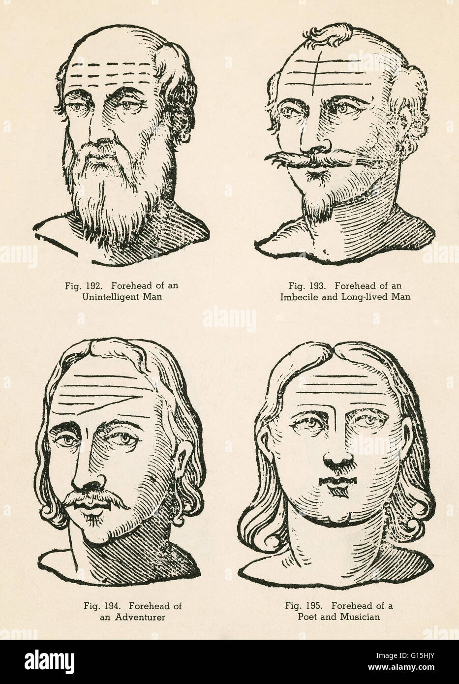 Physiognomy, assessment of a person's character or personality from their outer appearance, particularly the face. In this sketch four assessments are represented: forehead of an unintelligent man (top left), forehead of an imbecile and long-lived man (to Stock Photo