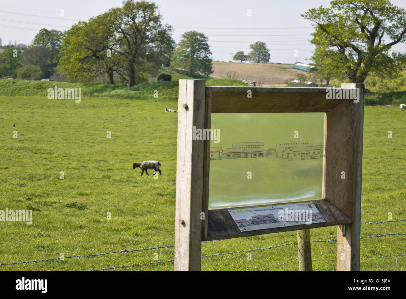 Venta Icenorum Caistor St Edmund roman town ruins Stock Photo Alamy