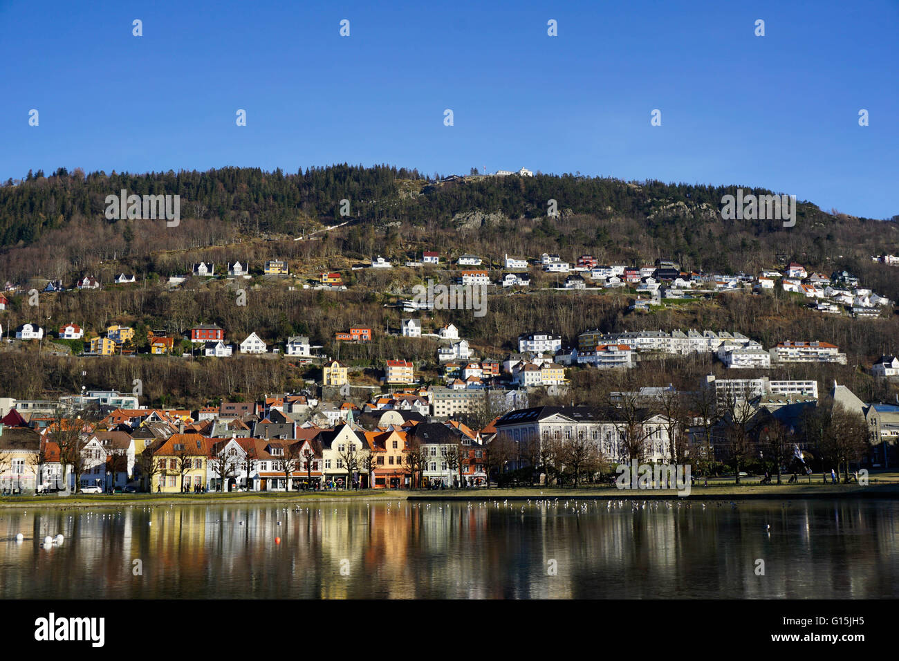 View to Mount Floyen, Lille Lungegard lake, Bergen, Norway, Scandinavia, Europe Stock Photo