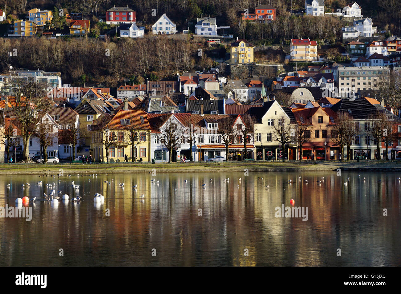 Lille Lungegard lake, Bergen, Norway, Scandinavia, Europe Stock Photo