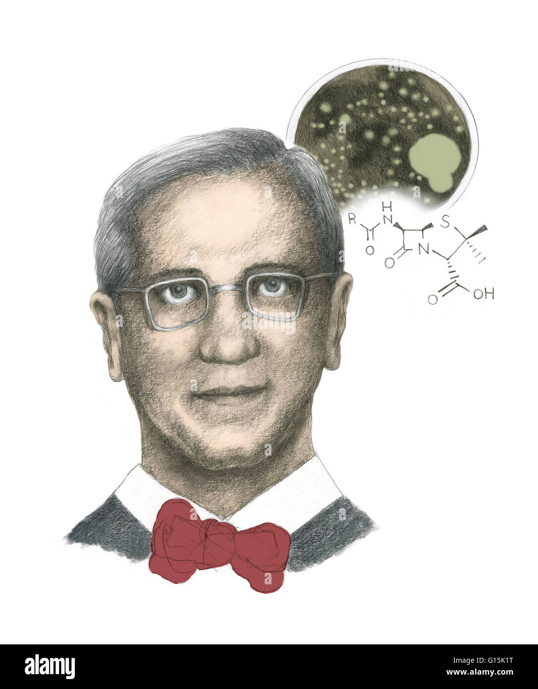 Illustration of Alexander Fleming (August 6, 1881 - March 11,1955), the Scottish biologist most famous for discovering penicillin in 1928. He is depicted here with a petri dish containing Penicillium notatum (the mold from which the antibiotic penicillin Stock Photo