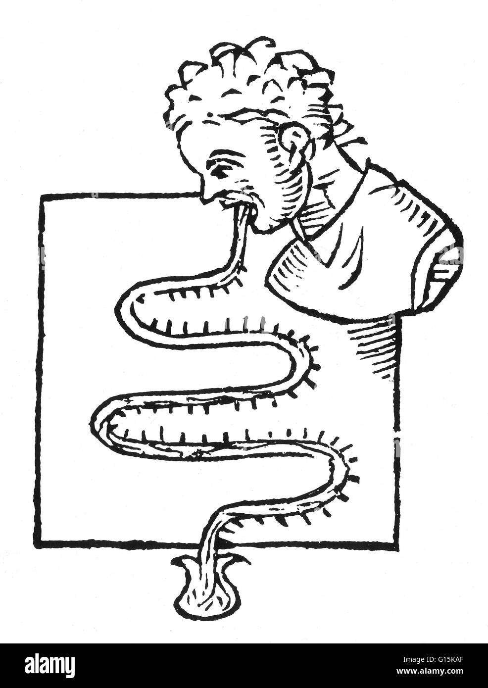 Earliest known illustration of an oral thermometer, drawn by its inventor, the Italian physician Sanctorius Sanctorius (1561-1636), in 1625.  The thermometer was made of glass tubing and the vial at the bottom contained mercury.  To get a reading, the pat Stock Photo