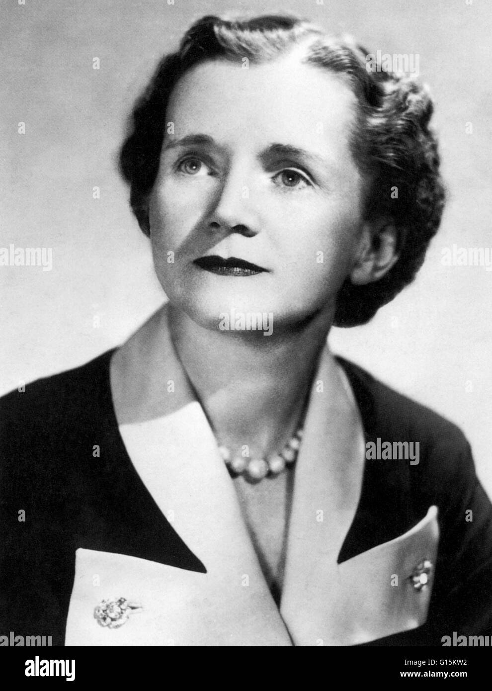 Rachel Louise Carson (1907-1964) was an American marine biologist and conservationist whose writings are credited with advancing the global environmental movement. Her widely praised book 'The Sea Around Us' was a bestseller in 1951. Her next book, The Ed Stock Photo