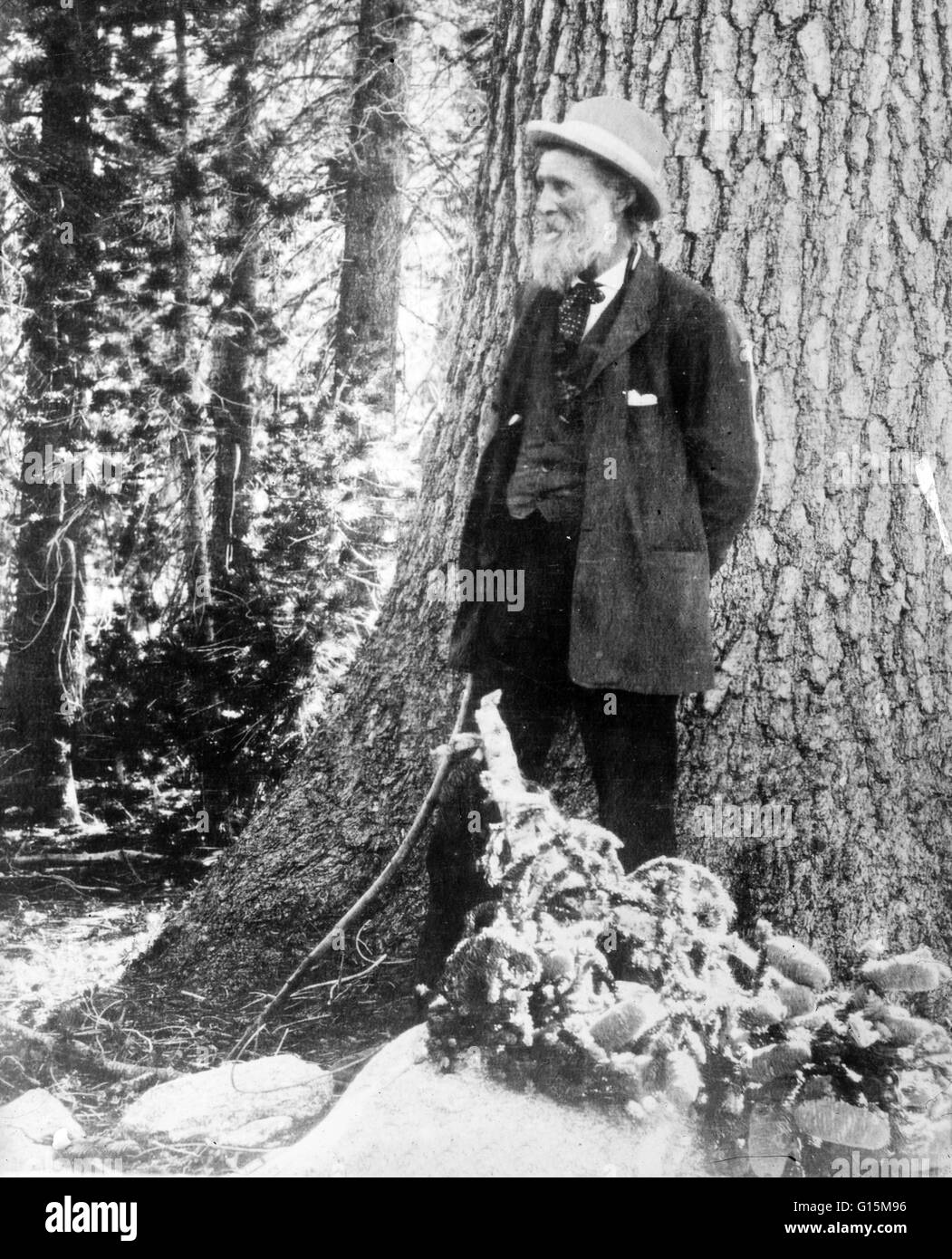 John Muir (April 21, 1838 - December 24, 1914) was a Scottish-born American naturalist, author, and early advocate of preservation of wilderness in the United States. His letters, essays, and books telling of his adventures in nature, especially in the Si Stock Photo