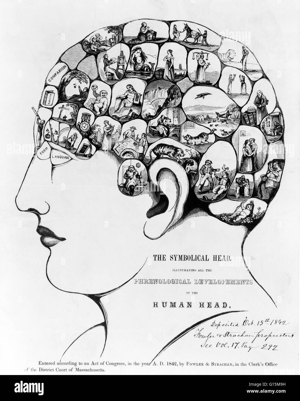 The Symbolical head, illustrating all the phrenological developments of the human head. Phrenology is the science which studies the relationships between a person's character and the morphology of the skull. It is a very ancient object of study. The first Stock Photo