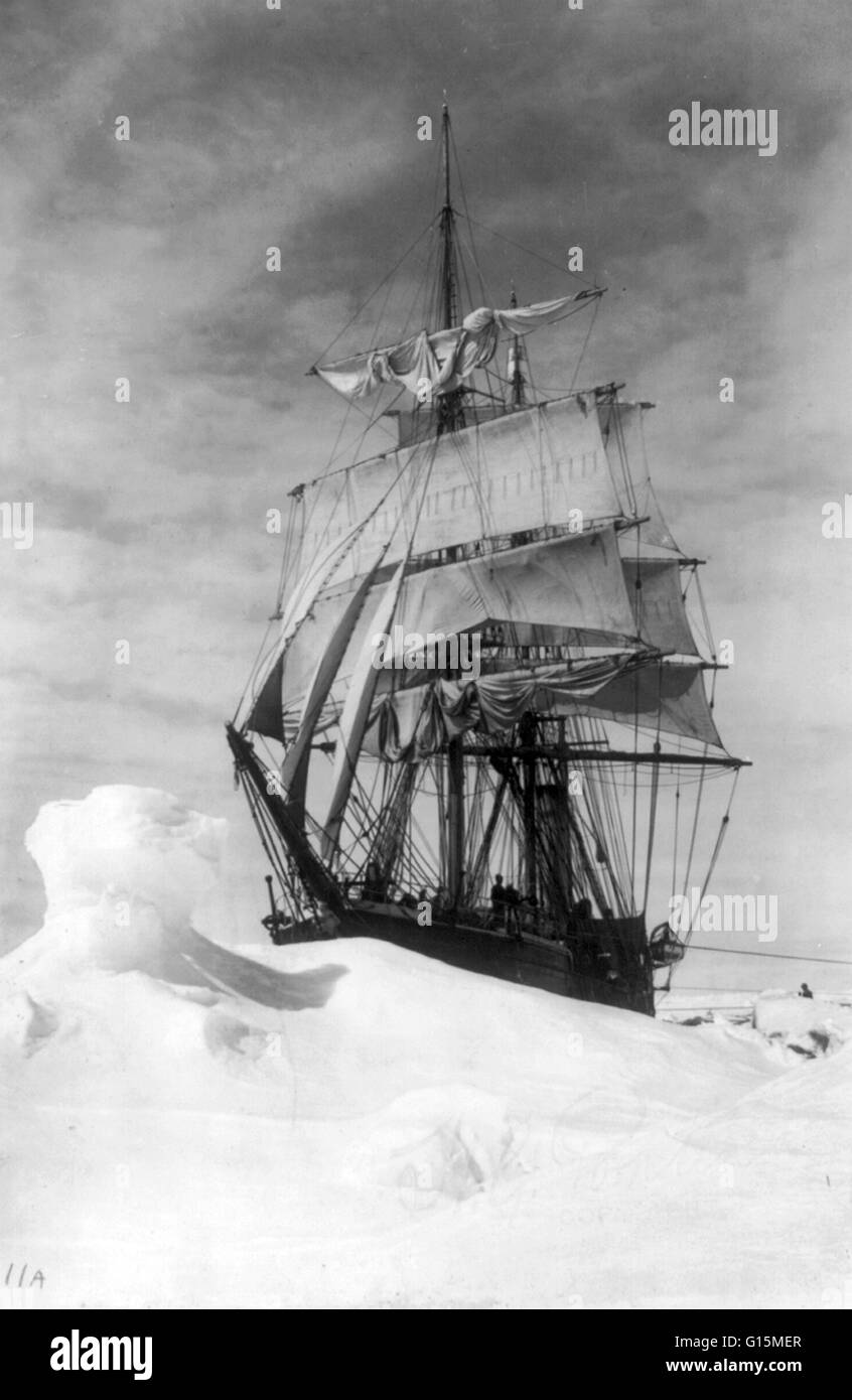 Print entitled: 'Terra Nova icebound in the pack, 1910 or 1911.' The Terra Nova (Latin for Newfoundland) was built in 1884 for the Dundee whaling and sealing fleet. She worked for 10 years in the annual seal fishery in the Labrador Sea, proving her worth Stock Photo