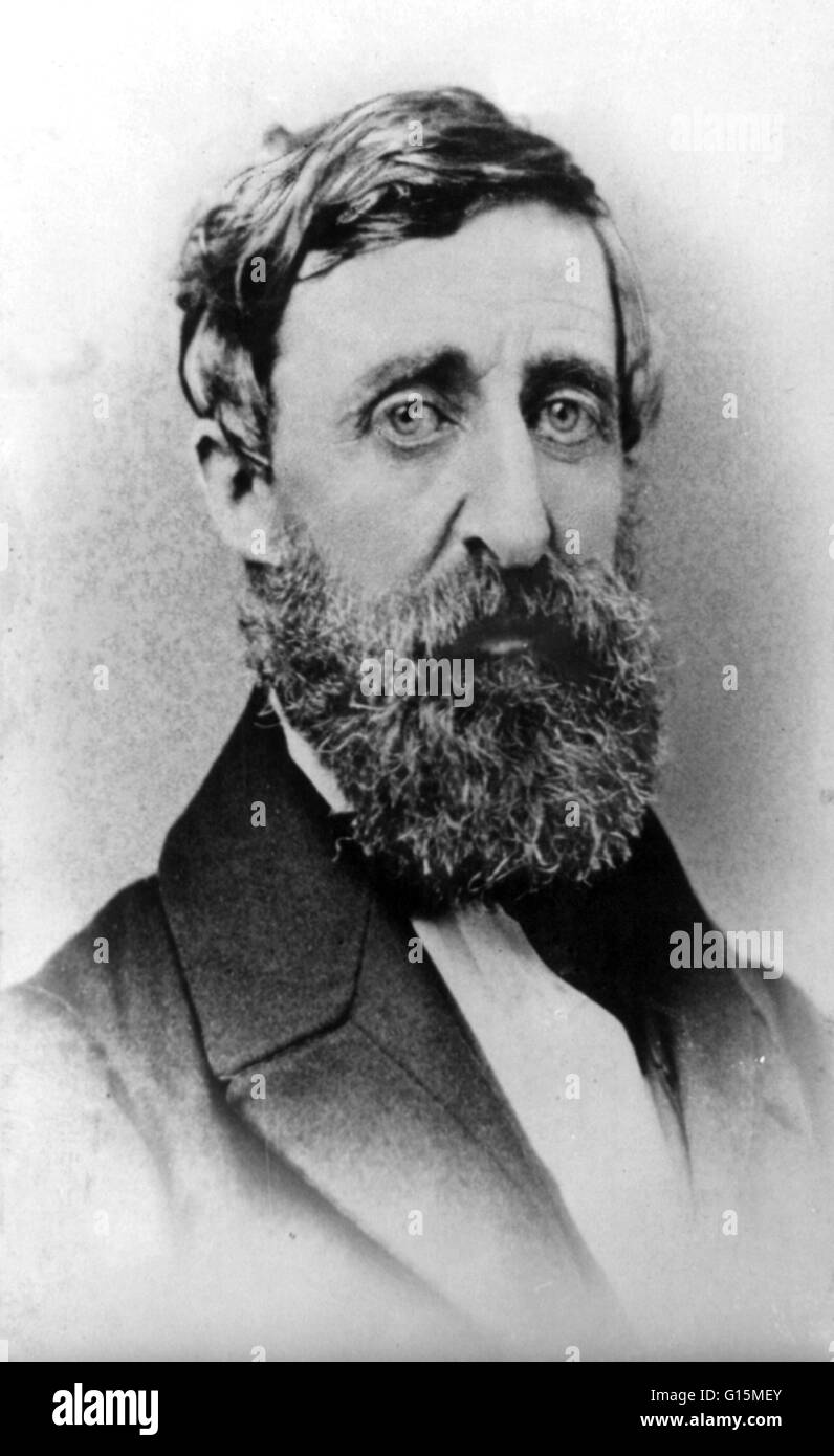 Henry David Thoreau (July 12, 1817 - May 6, 1862) was an American author, poet, philosopher, freemason, abolitionist, naturalist, tax resister, development critic, surveyor, historian, and leading transcendentalist. He is best known for his book Walden, a Stock Photo