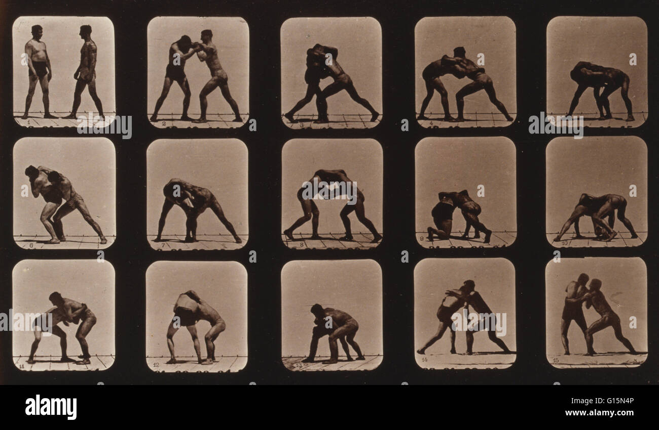 Muybridge Human Locomotion, Men Wrestling, 1881. Photograph shows 15 consecutive images of two men wrestling. Eadweard James Muybridge (April 9, 1830 - May 8, 1904) was an English photographer important for his pioneering work in photographic studies of m Stock Photo