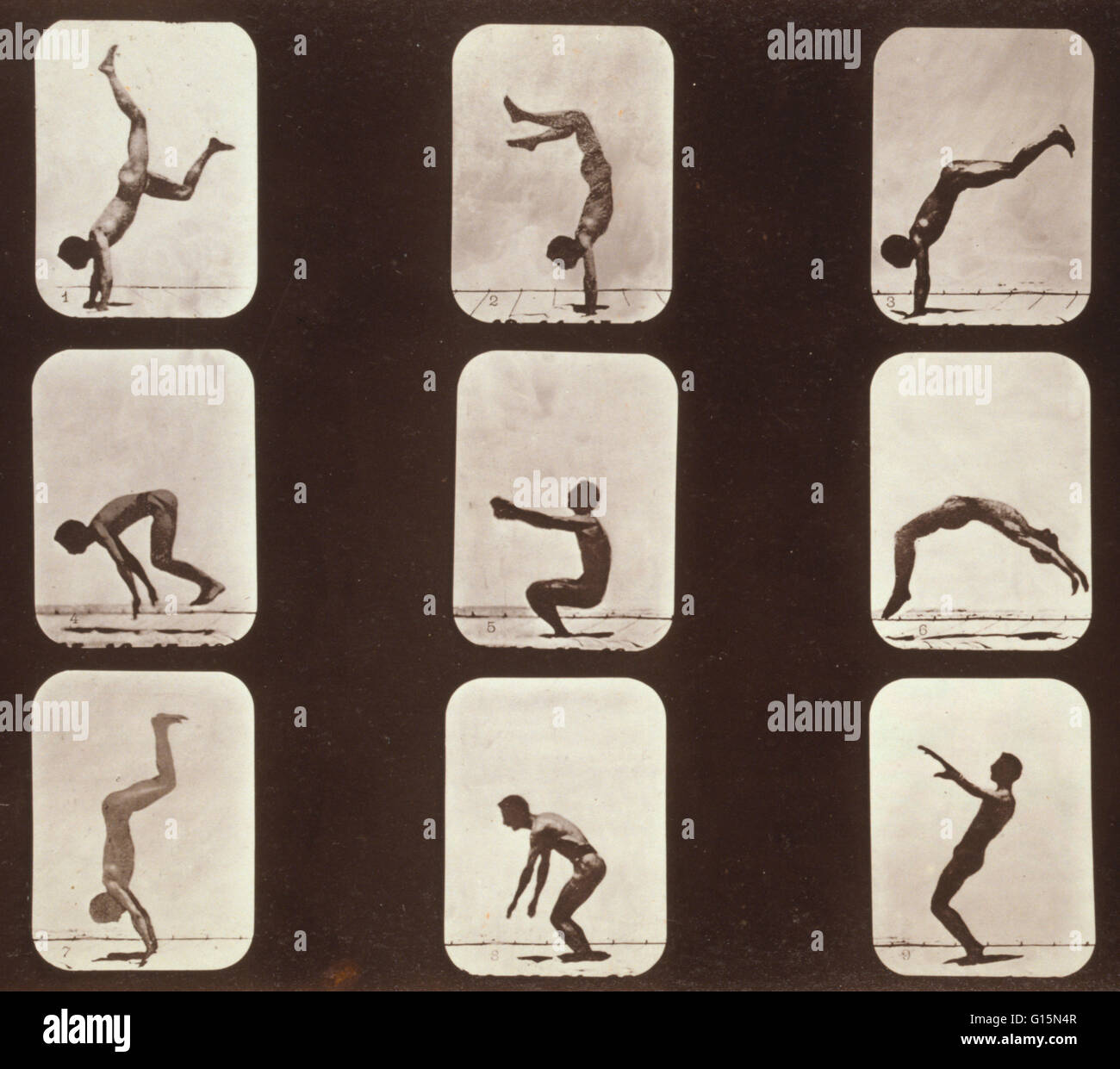 Muybridge Human Locomotion, Back Hand Spring, 1881. Photograph shows 9 consecutive images of a man doing a flip flap or a back hand spring. Eadweard James Muybridge (April 9, 1830 - May 8, 1904) was an English photographer important for his pioneering wor Stock Photo