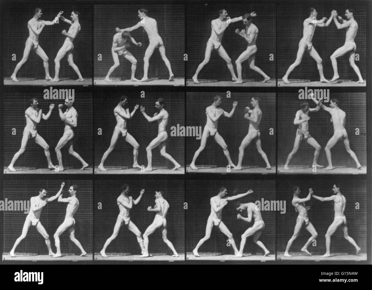 Muybridge Human Locomotion, Men Boxing, 1887. 12 frame motion picture of two men boxing. Eadweard James Muybridge (April 9, 1830 - May 8, 1904) was an English photographer important for his pioneering work in photographic studies of motion and in motion-p Stock Photo