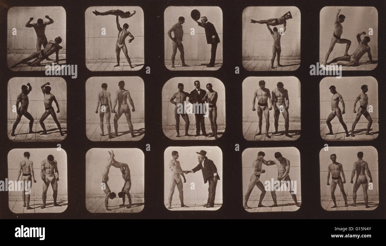 Muybridge Human Locomotion, Athletes Posturing, 1881. Photograph shows fifteen consecutive images of men doing acrobatics, gesturing, and posturing. Eadweard James Muybridge (April 9, 1830 - May 8, 1904) was an English photographer important for his pione Stock Photo
