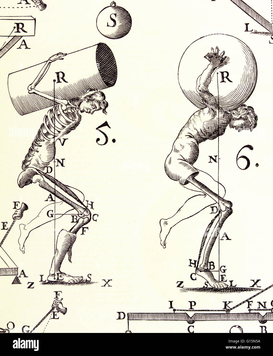 Illustration from De Motu Animalium (On Animal Motion, 1680) by Alfonso Borelli (1608-1679). Borelli studied and illustrated the biomechanics of the living body as a system of levers, pistons and pivots. This image shows how the human body centers and sus Stock Photo