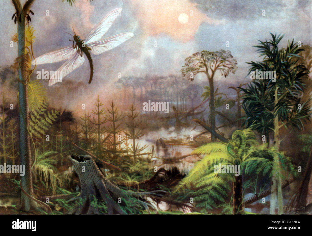 Meganeura is a genus of extinct insects from the Carboniferous period, which resembled and are related to the present day dragonflies. Meganeura were predatory, and fed on other insects, and even small amphibians. Carboniferous is the fifth period of the Stock Photo