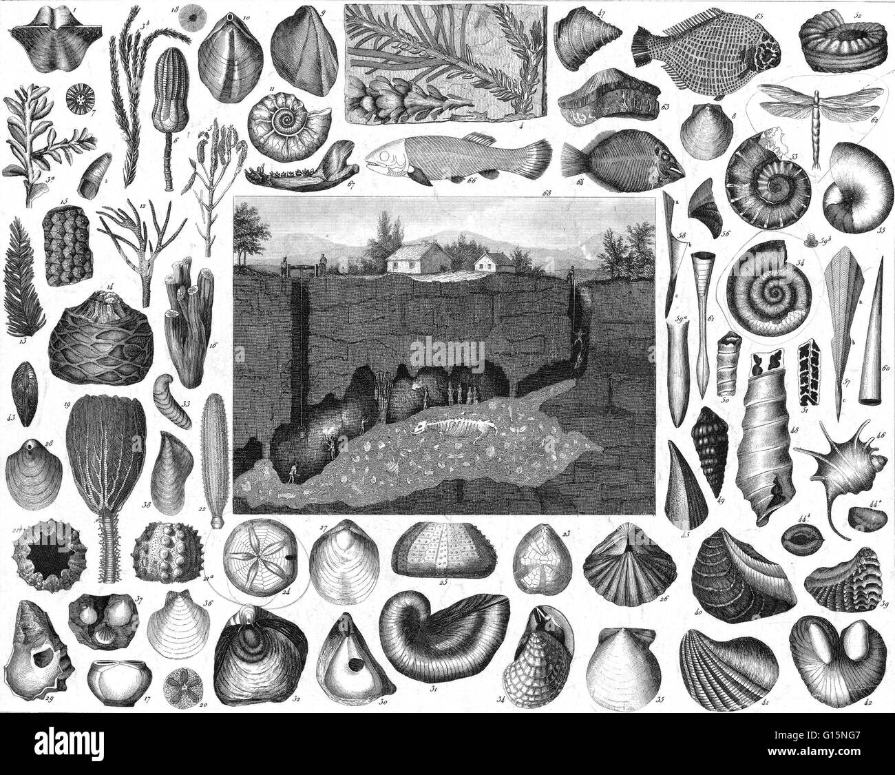 The Pliocene Epoch is the period in the geologic timescale that extends from 5 million to 2 million years before present. It is the second and youngest epoch of the Neogene Period in the Cenozoic Era. The Pliocene follows the Miocene Epoch and is followed Stock Photo