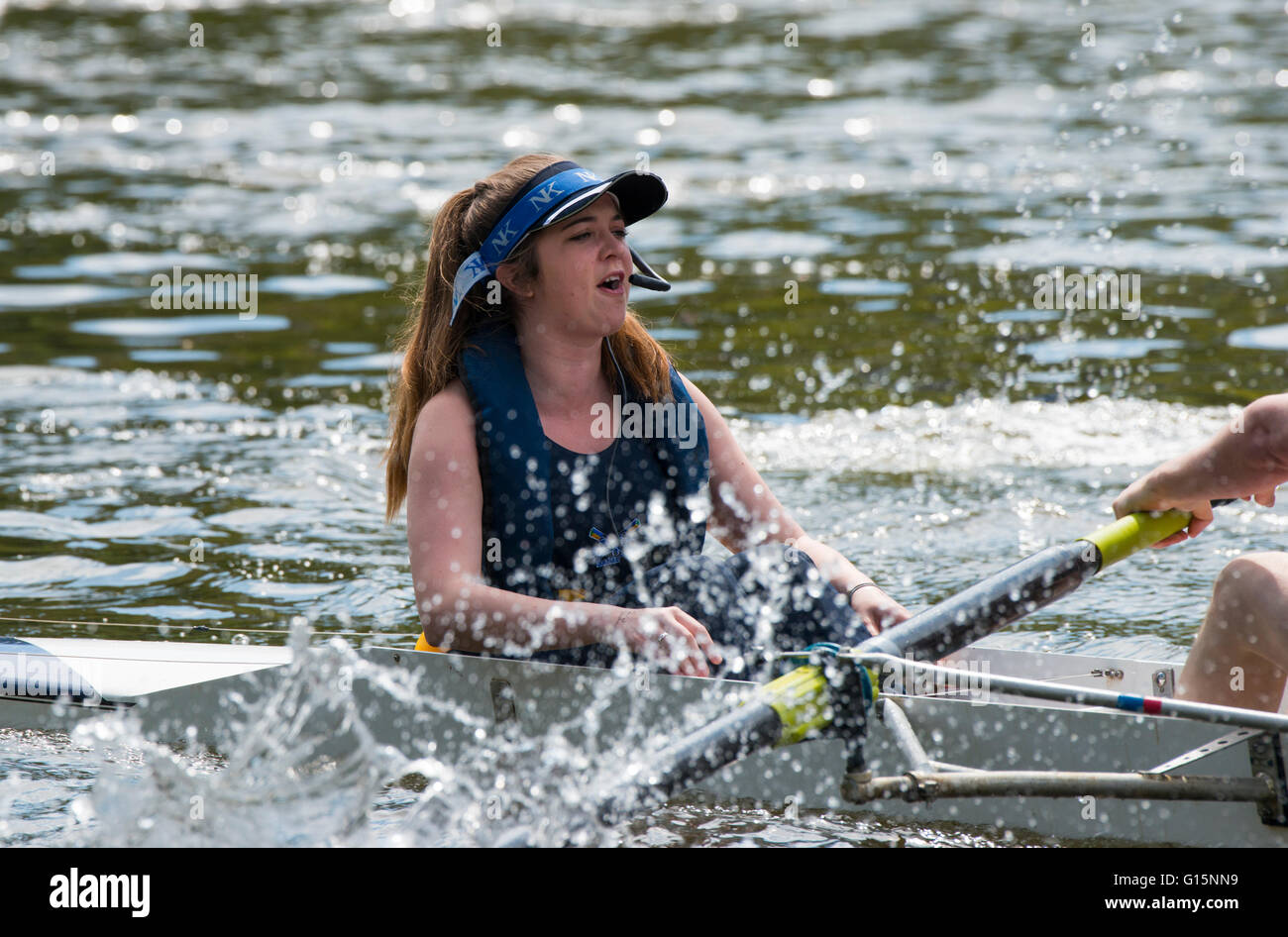 Coxswain in a rowing boat competing in Shrewsbury Regatta on the River Severn, Shropshire, England, UK. Stock Photo