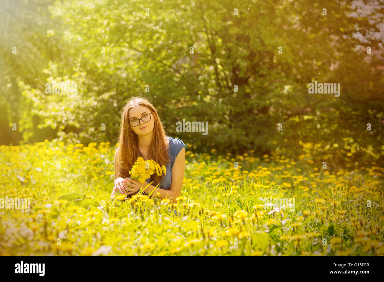 attractive girl sitting on dandelions meadow with sunlight Stock Photo ...