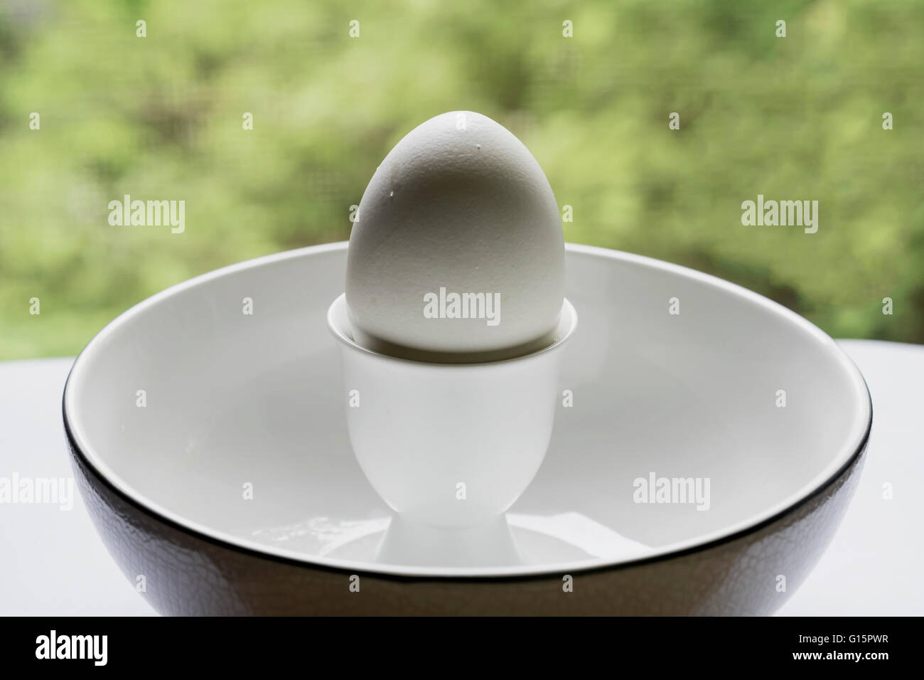 Sketch with white chicken egg Stock Photo - Alamy