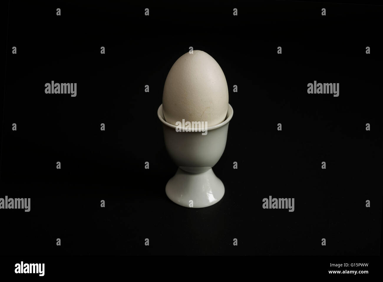 Sketch with white chicken egg with black background Stock Photo - Alamy