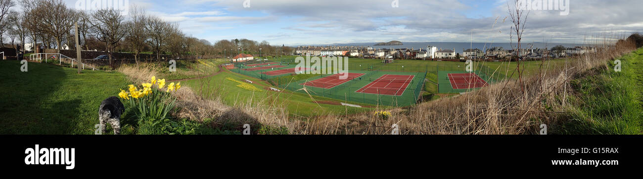Tennis Courts and Coo's Green and daffodils, North Berwick Stock Photo