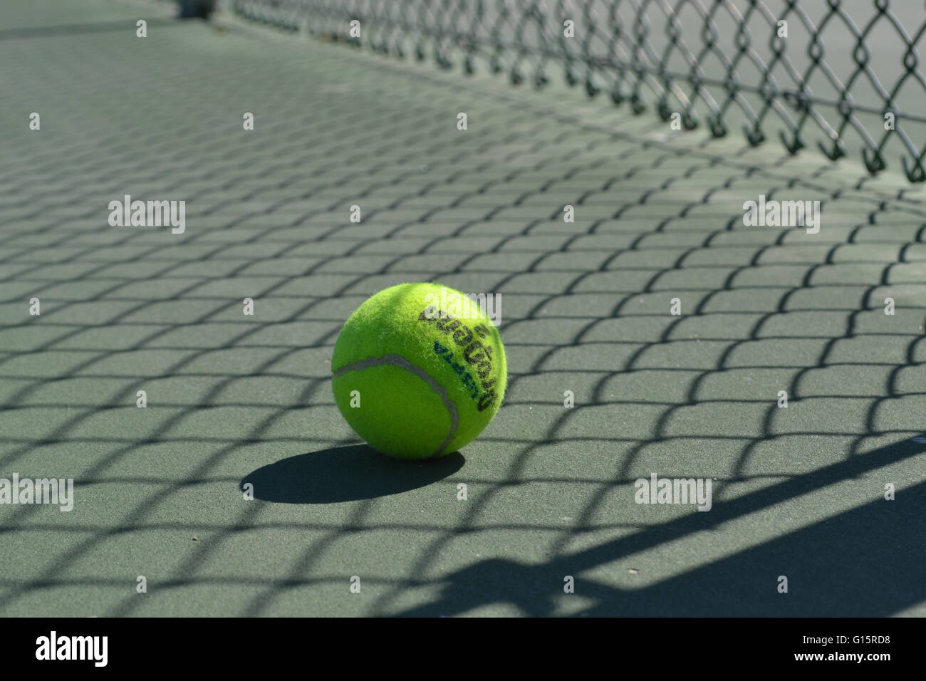 Tennis ball on the courts Stock Photo