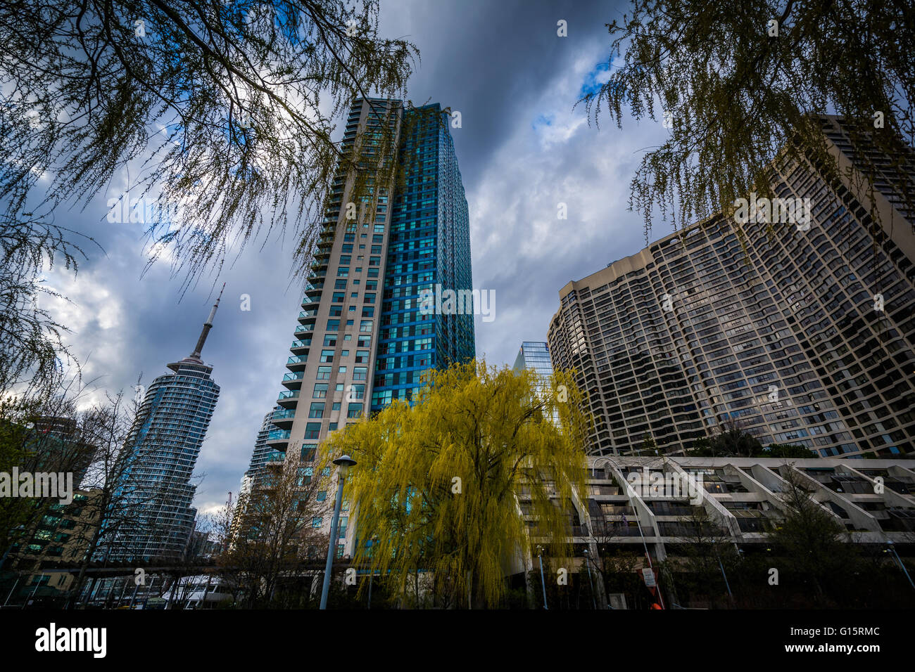 Modern buildings trees hi-res stock photography and images - Alamy