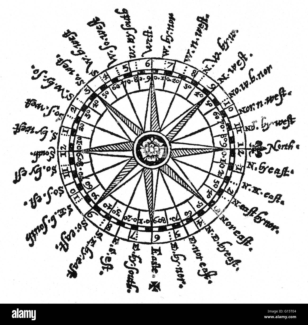 Cardinal Directions and Compass Rose in 2024  Compass rose, Compass  directions, Cardinal directions