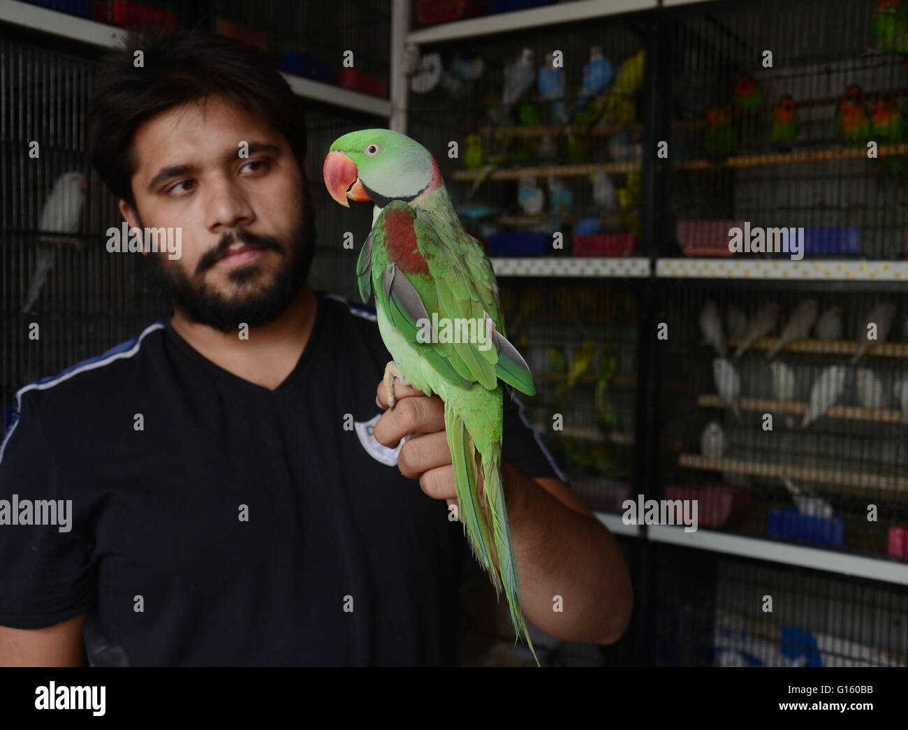 Birds seen for selling at dharampura birds market on the eve of