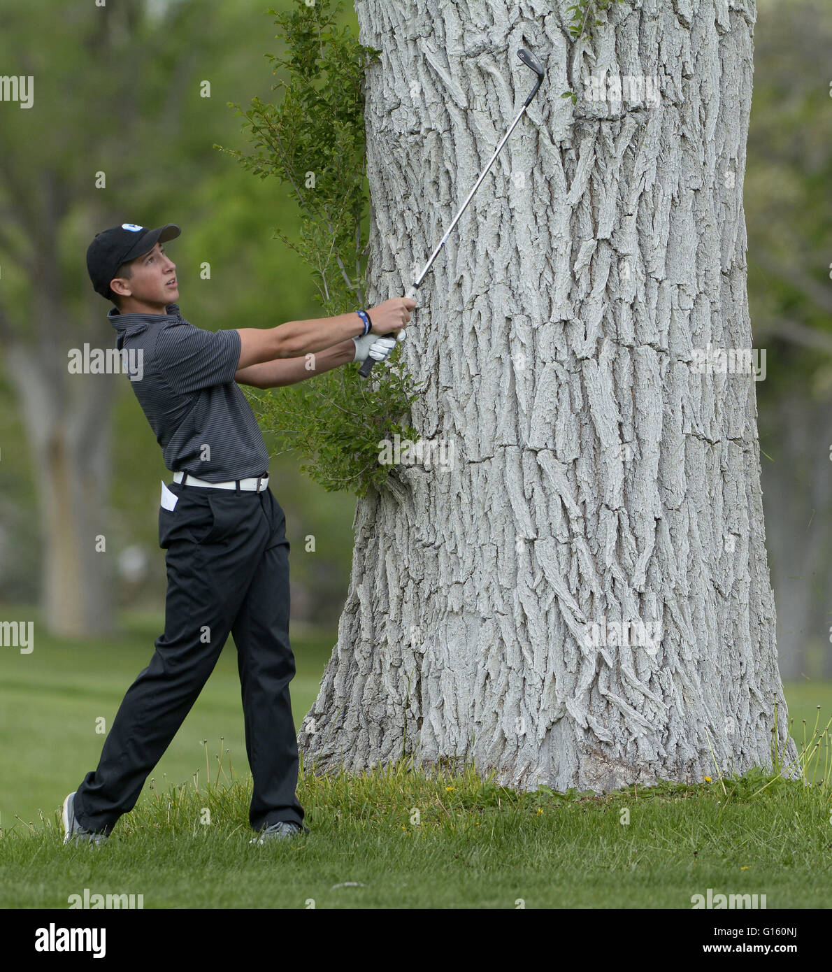 May 9, 2016 - U.S. - SPORTS -- Cleveland's John Gallegos hits on the 18th fairway during the 2016 Furr's Buffet 6A State Championship at the Canyon Club at Four Hills on Monday, May 9, 2016. (Credit Image: © Greg Sorber/Albuquerque Journal via ZUMA Wire) Stock Photo