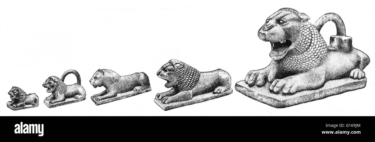 Illustration of 5 of a set of 17 bronze weights in the form of lions found at Kalhu. The largest weighs almost 44 pounds and measures 11.8 inches long. The smallest weighs less than 2 ounces and measureless than 1 inch. Sonme of the lions were inscribed i Stock Photo