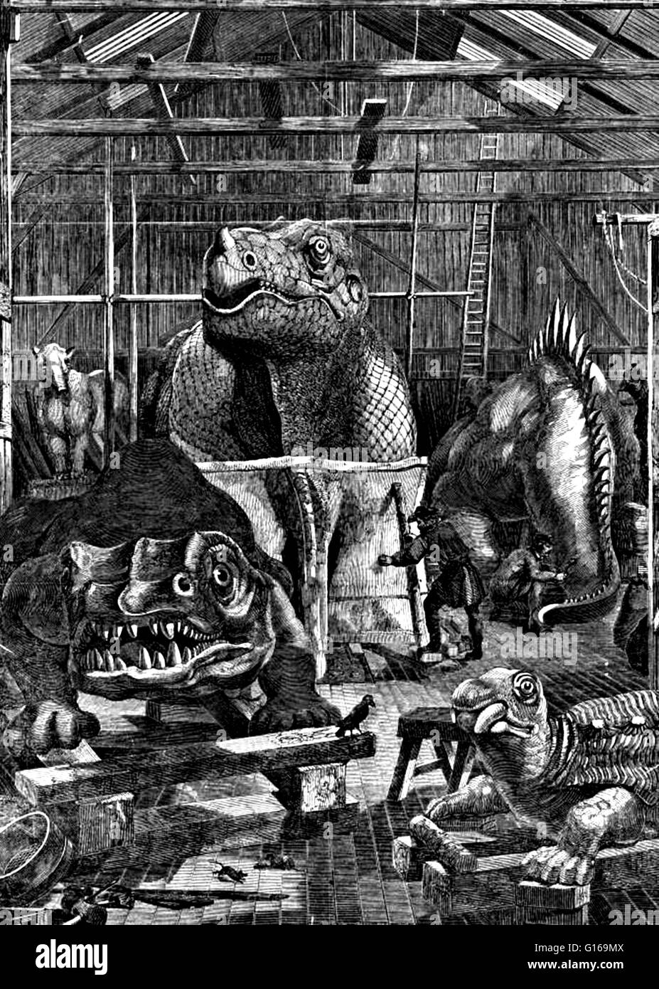 Illustration of Hawkins' studio in Sydenham, where he made the Crystal Palace Dinosaurs. Benjamin Waterhouse Hawkins (February 8, 1807 - January 27, 1894) was an English sculptor and natural history artist. He was appointed assistant superintendent of the Great Exhibition of 1851 in London. The following year (1852), he was appointed by the Crystal Palace company to create 33 life-size concrete models of extinct dinosaurs to be placed in the south London park to which the great glass exhibition hall was to be relocated. In this work, which took some three years, he collaborated with Richard Ow Stock Photo