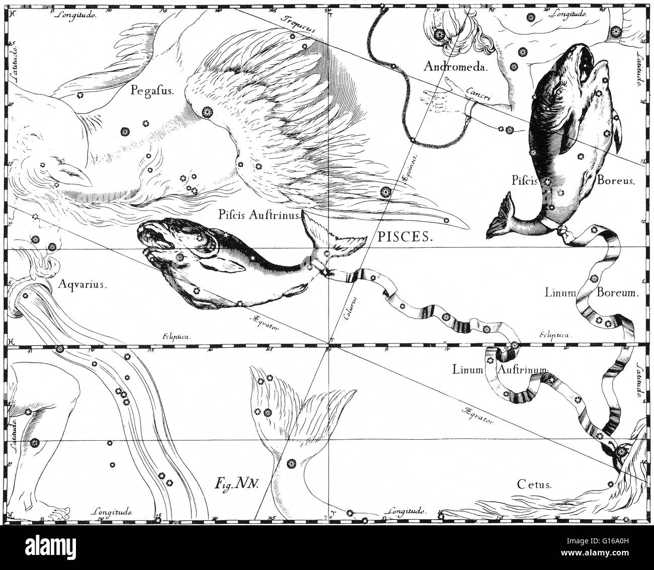 Pisces constellation from Johannes Hevelius' Prodromus astronomiae, Firmamentum Sobiescianum, sive Uranographia, 1687. Pisces is a constellation of the zodiac. Its name is the Latin plural for fish. It is one of the 48 constellations described by the 2nd Stock Photo