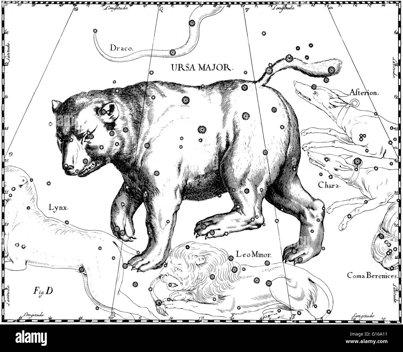 Ursa major constellation from Johannes Hevelius' Prodromus astronomiae, Firmamentum Sobiescianum, sive Uranographia, 1687. Ursa Major, also known as the Great Bear, is a constellation visible throughout the year in most of the northern hemisphere. It was Stock Photo
