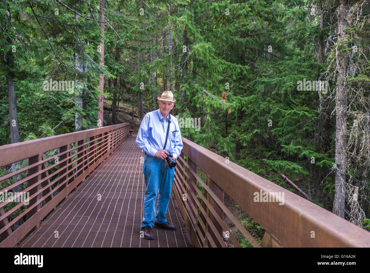 Healthy Active Senior Male Tourist with Camera Standing on a Bridge in Forest. Copy space. Stock Photo