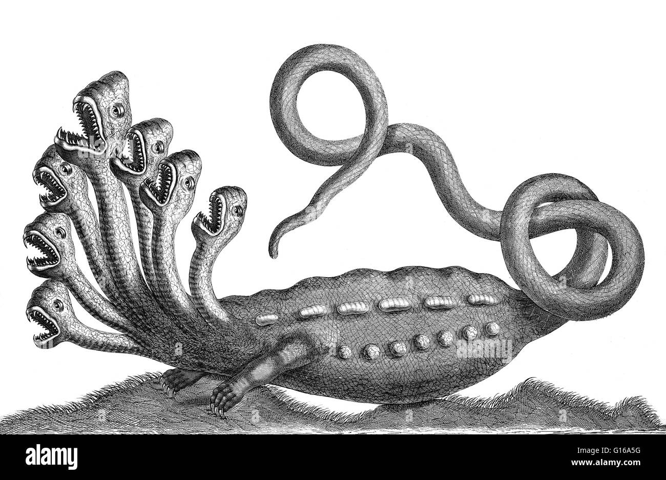Detail of engraving from Locupletissimi Rerum Naturalium Thesauri by Albertus Seba, 1734. In Greek mythology, the Lernaean Hydra was an ancient serpent-like chthonic water beast, that possessed many heads (for each head cut off it grew two more), and dead Stock Photo